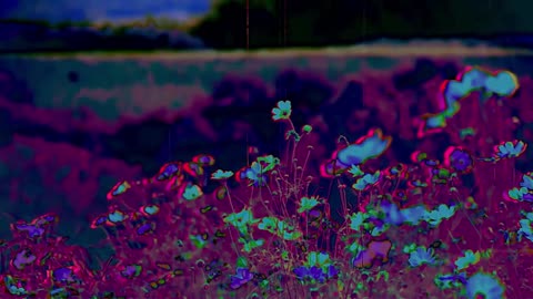 In a Garden (short poem)
