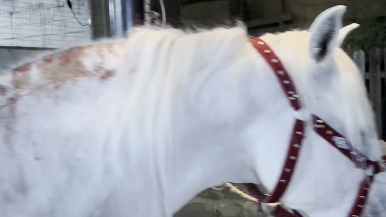 العين حق