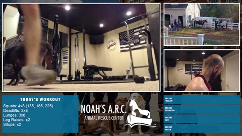 LBL Session w/Remy Pup [Week 21] - Leg Day // Animal Rescue Stream :)