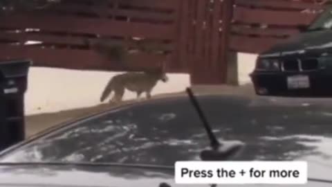 👀🧟‍♂️ What Is That? Unexplained Phenomenon Caught on Camera | TheHauntingHour