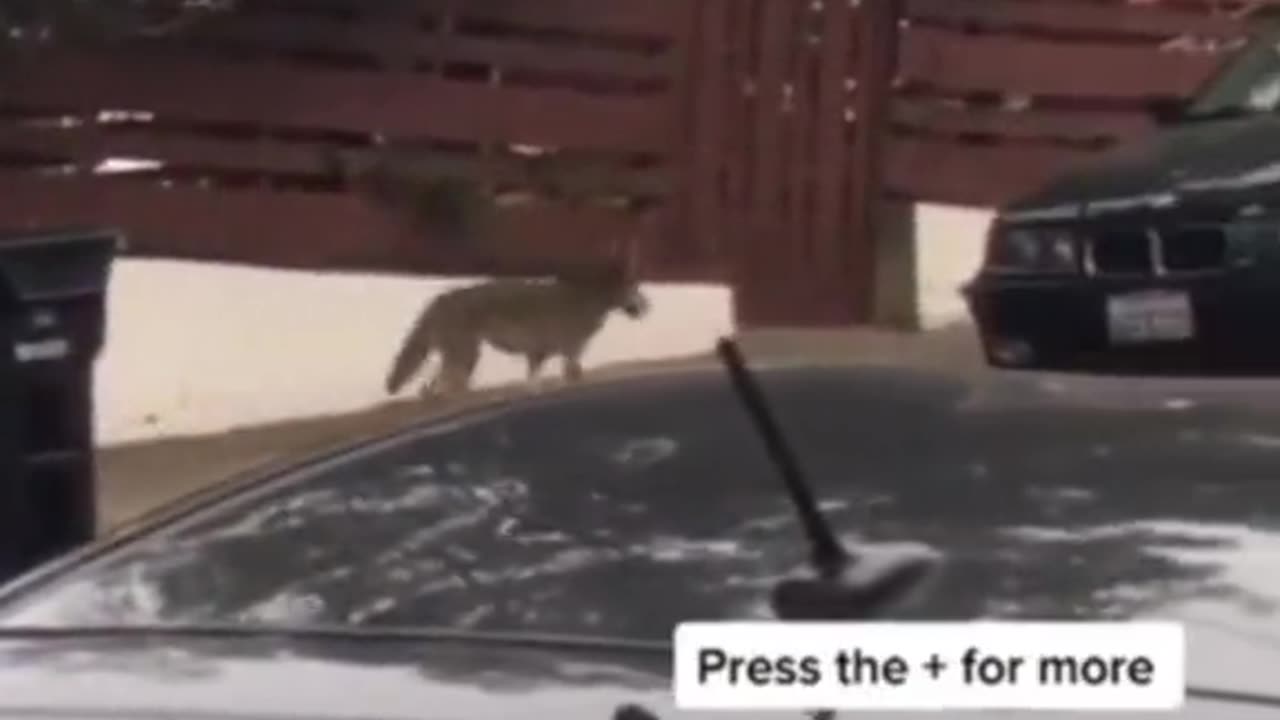 👀🧟‍♂️ What Is That? Unexplained Phenomenon Caught on Camera | TheHauntingHour