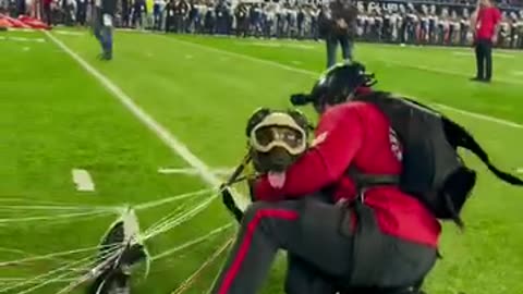 Patriot Parachute Team Frog Dog K9 #k9leadstheway