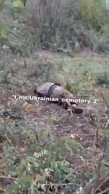 A walk through Ukraine