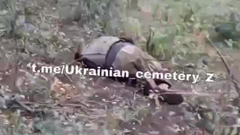 A walk through Ukraine