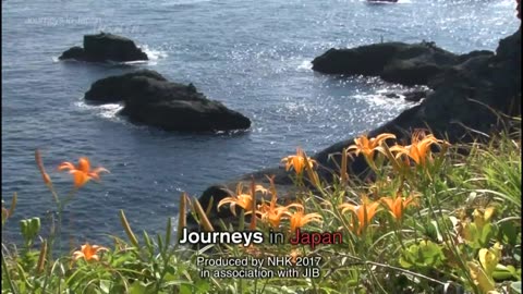 Journeys in Japan 「南伊豆 豊かなる海」