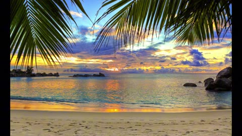 SoulKissin' "SUMMER VIBE"