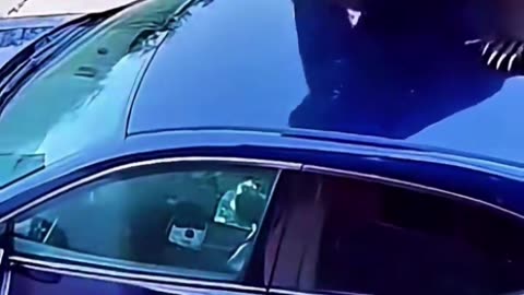 He didn't hear the BEAR coming