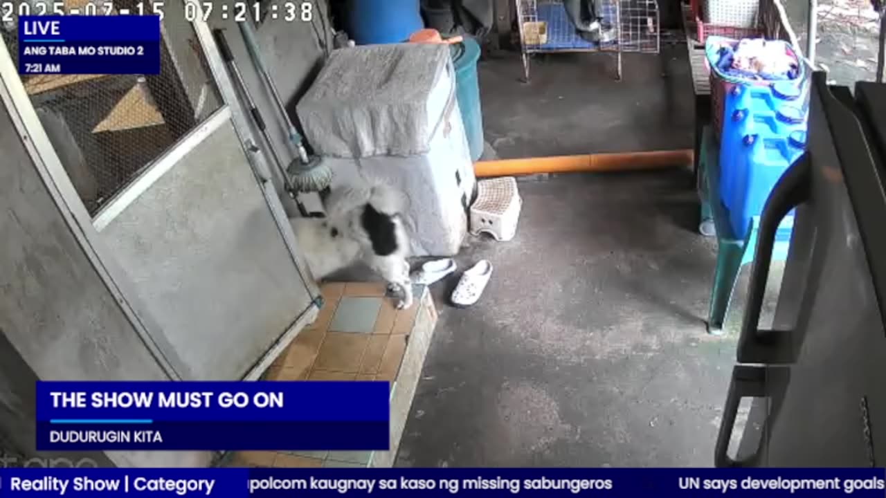 Mitsubishi Xpander 2019 Live