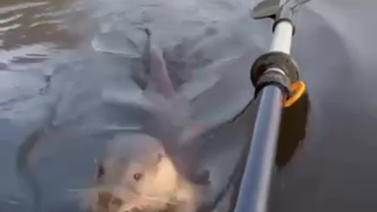Awesome friendship
