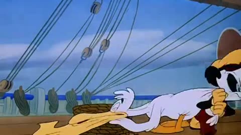 Woody Woodpecker and Friends - 1948x07 - Playful Pelican