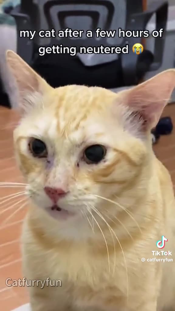 TRIPPING SATURDAY 4-26-25