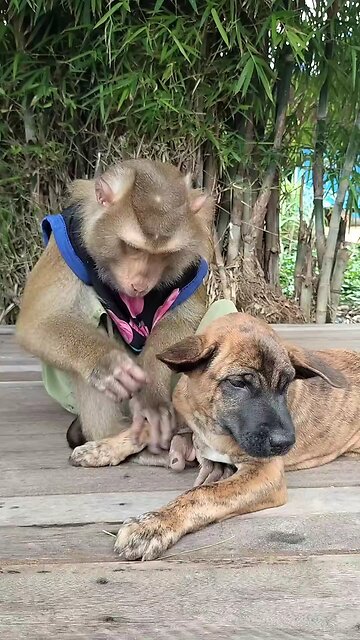 Well Best SokYaa, OG, Pao & Mom Are Famous Around The World #shorts #anime #trend #edit