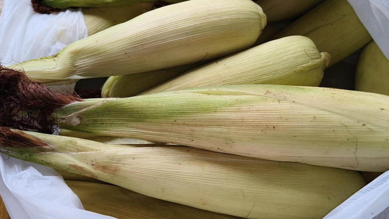 Gihatagan Si Mike Ug Mais