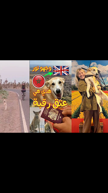 شفتو الفكرة الجهنمية اللي دارها 😂😂😂باش يخرج من هنا MA 🐶❤️ الحقيقة الكاملة بالفيديو