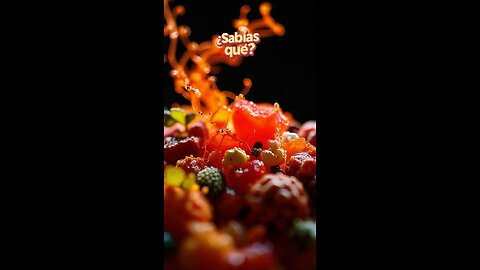 💡 Comida Prohibida: ¡OMG!