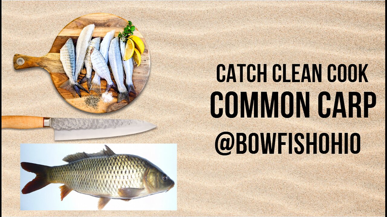 Sustainable Bowfishing Catch Clean Cook – Invasive Carp to Table
