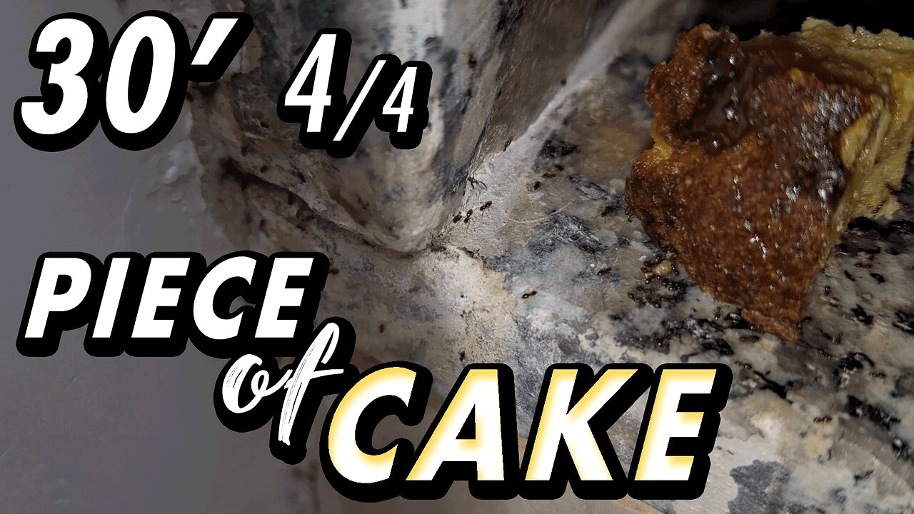 ASMR | You forgot some food on the way? Chill. The soldiers have it covered - 30' 4/4