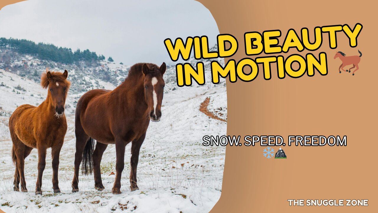 WILD HORSES RUNNING IN SNOW 🐎❄️ | Aerial Beauty Over Mountain Peaks