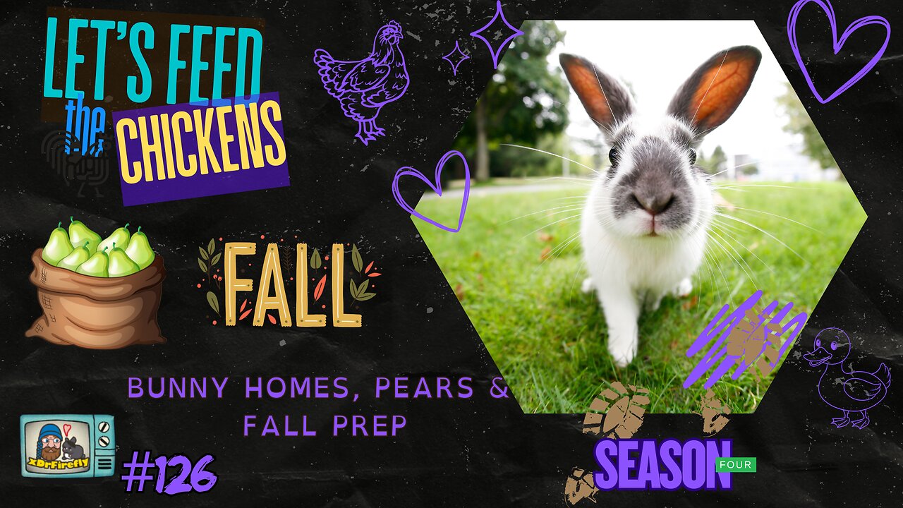 Bunny Homes, Pears & Fall Prep | Let's Feed the Chickens | E126