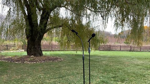 Shelby and Michael's Wedding Ceremony 10-31-2025