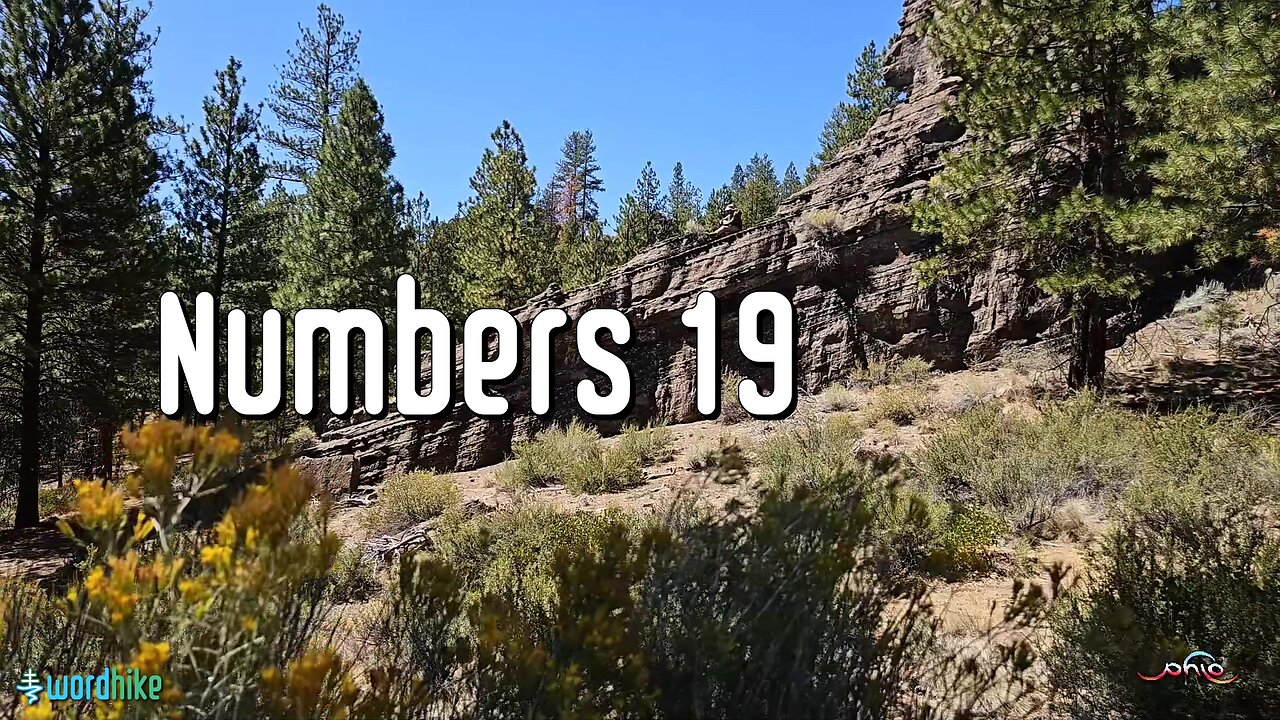 Numbers 19, Bible Reading in Nature, BSB