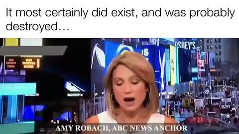 Amy Robach - ABC News Anchor