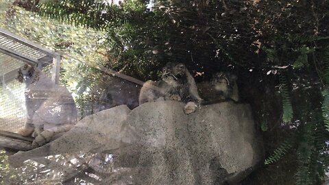 Manul Az and her two daughters