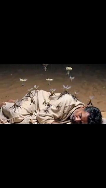 Mosquito insurgents 🦟