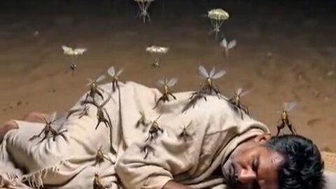 Mosquito insurgents 🦟