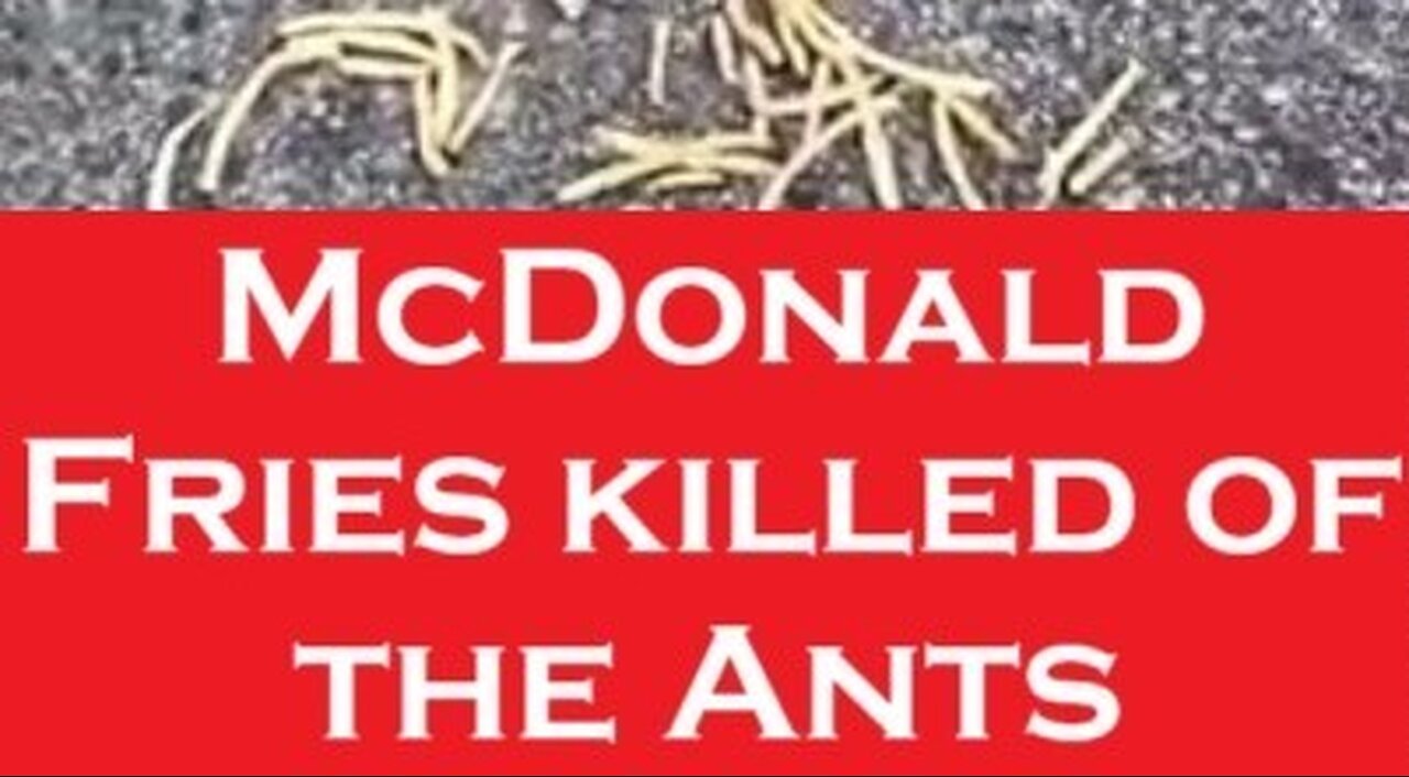 Poisonous McDonald Fries MiX by TPQ