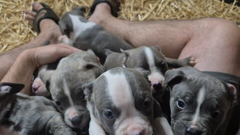pupdate!