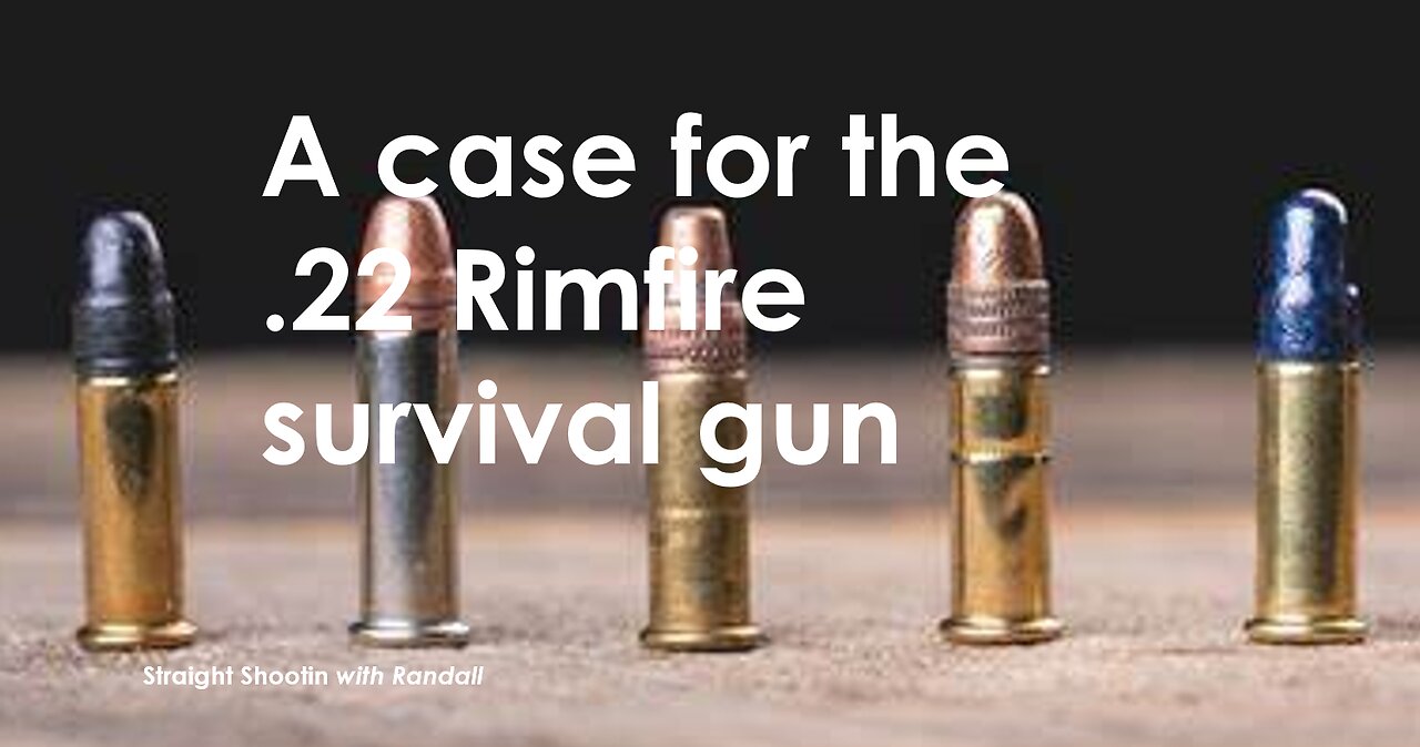 A case for the .22 Rimfire survival gun