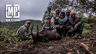 Menelik’s Bushbuck and Colobus Monkey - Ethiopia: Part 1 | Mark V Peterson Hunting