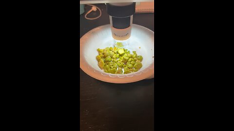 Liver flush results