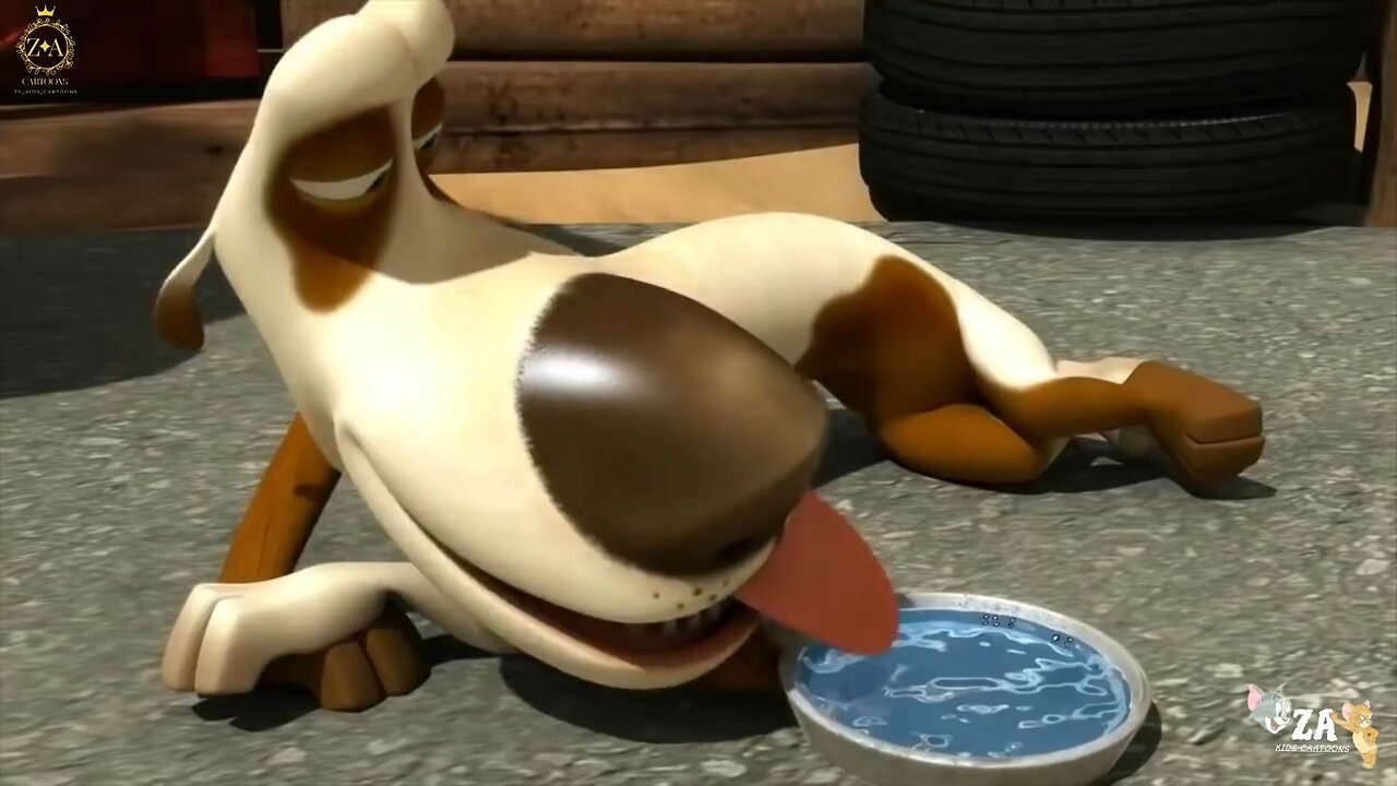 Oscar's and Oasis Cartoons