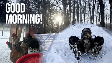 What a Typical Morning Looks Like On the Farm | Morning Chores