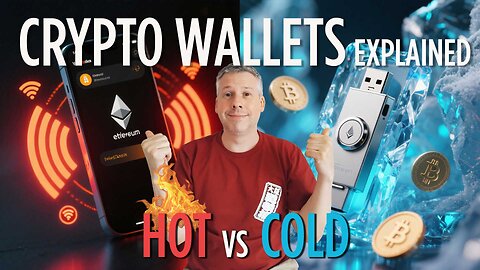 Crypto Wallets Explained Hot vs Cold (SimpleGuide)