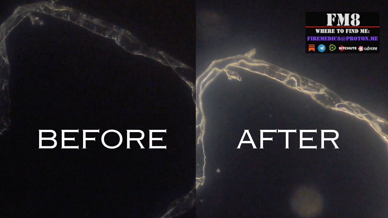 Tap Water Fibers - Turpentine Experiment