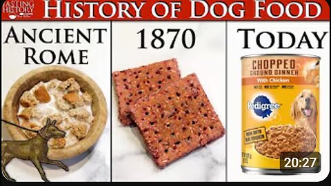 🐶 The Surprising History of Pet Food 🍖 | From Table Scraps to Billion-Dollar Industry