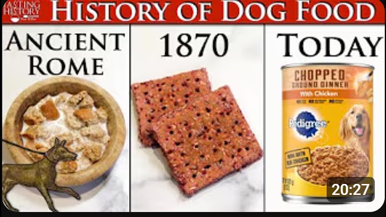 🐶 The Surprising History of Pet Food 🍖 | From Table Scraps to Billion-Dollar Industry