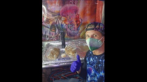 Mycology Mondays #119 Ziploc Tek grain 🌾 Agar inoculations