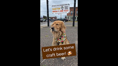 Let's drink some craft beer! 🍻