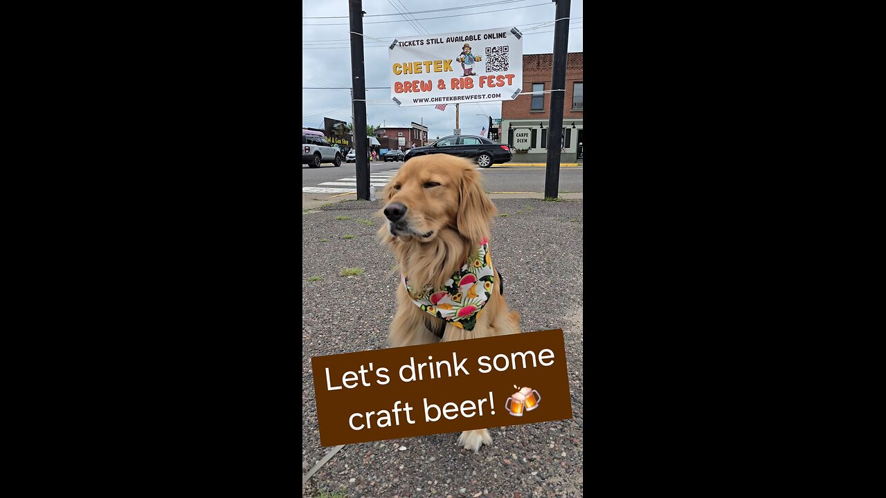 Let's drink some craft beer! 🍻