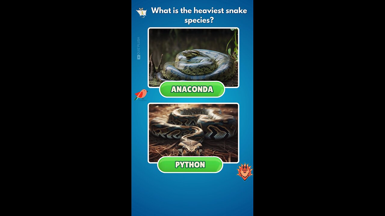 Can you guess the correct snake?