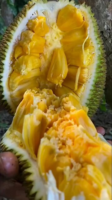 jackfruit