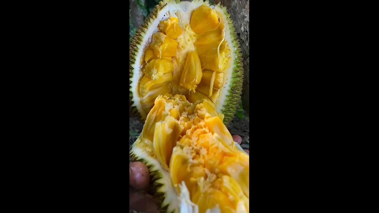 jackfruit