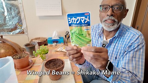 Japan Garden Life: Winter Broccoli, Raised Bed Radishes & Home Cooking