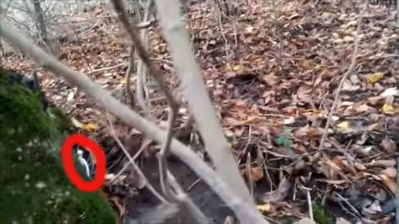 Dwarf scared tourists in the woods and got lucky - Mysterious creatures