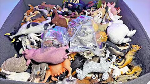 200 Farm Animals Toys - Dog, Cats, Pigs, Cows, Horses, Rabbits, Donkeys, Ducks, Goose, Squirrels