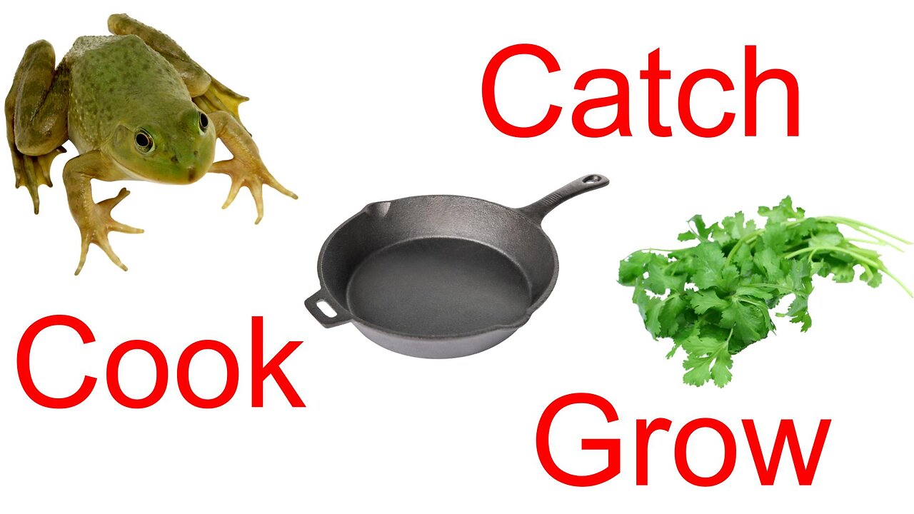 Catch and Cook Frogs